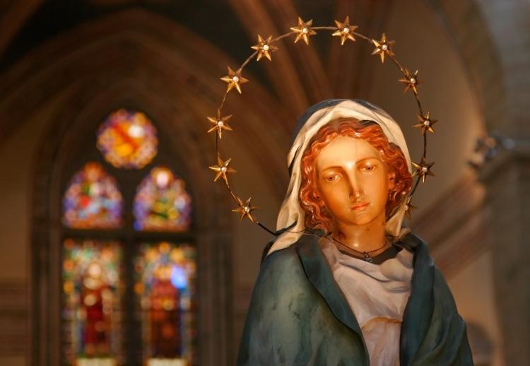 Feast of the Immaculate Conception in 2022!